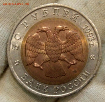 Красная книга 1993 Гималайский медведь до 22:30мск 24.08.21 - IMG_20210821_155307