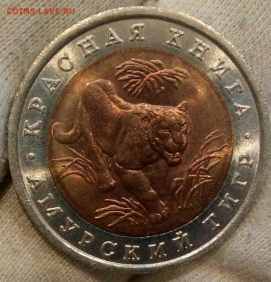 Красная книга 1992г Амурский тигр до 22:30 24.08.21 - IMG_20210821_160201