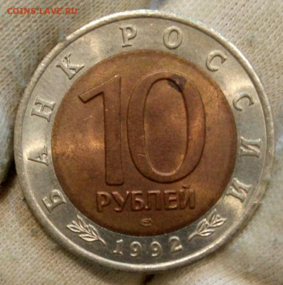 Красная книга 1992г Амурский тигр до 22:30 24.08.21 - IMG_20210821_160136