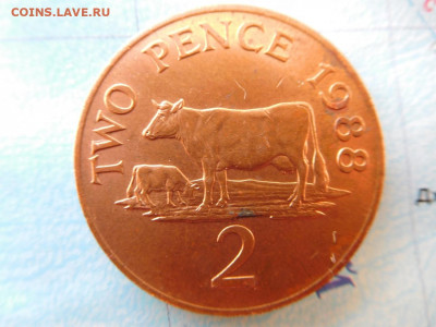 Гернси 2 пенса, 1988 - 5
