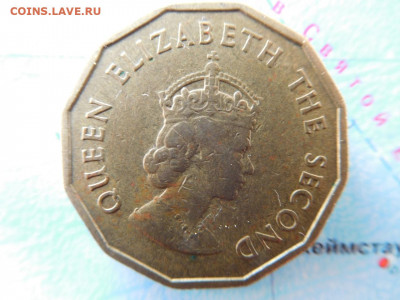 Джерси ¼ шиллинга, 1964 - 16