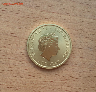 Австралия 1$ доллар 2013 Детёныши диких животных Вомбат - IMG_9619.JPG