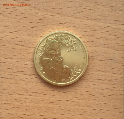 Австралия 1$ доллар 2013 Детёныши диких животных Вомбат - IMG_9613.JPG