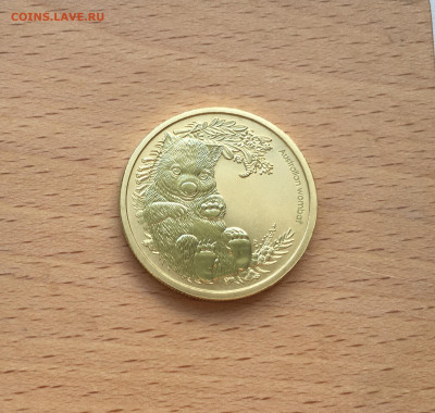 Австралия 1$ доллар 2013 Детёныши диких животных Вомбат - IMG_9615.JPG