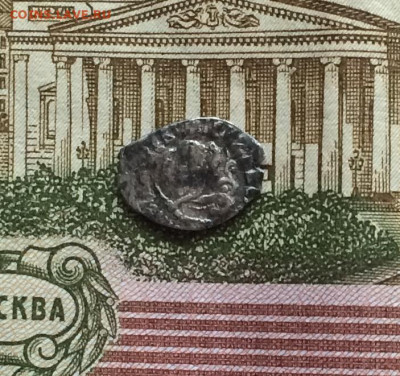 Дихремы, чешуя опознание - IMG_7024.JPG