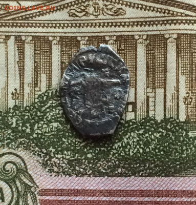 Дихремы, чешуя опознание - IMG_7023.JPG