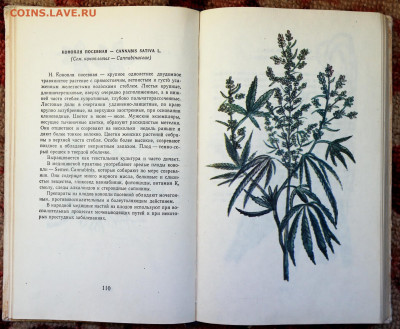 книга "Лекарственные растения" 336 стр.  с 1 руб - SAM_9576.JPG