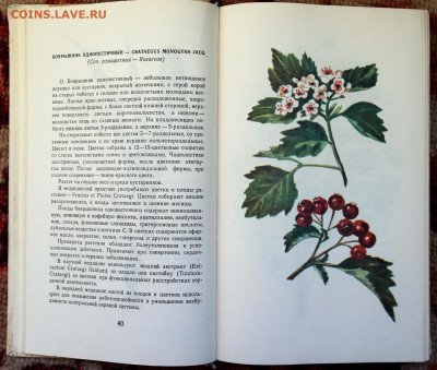 книга "Лекарственные растения" 336 стр.  с 1 руб - SAM_9575.JPG