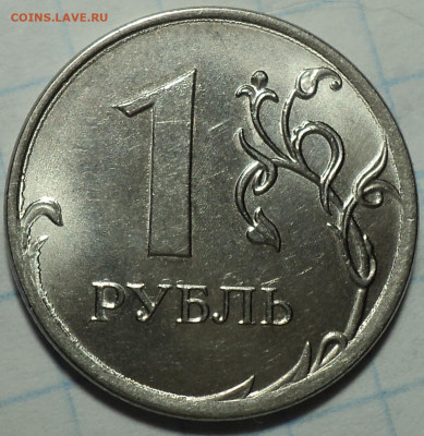 РАЗНОВИДНОСТИ  от  СЛФ - DSC07233.JPG