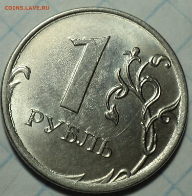 РАЗНОВИДНОСТИ  от  СЛФ - DSC07249.JPG