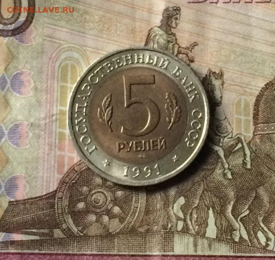 5 рублей 1991г. К.К. Винторогий козел до 29.08.21 - IMG_6969.JPG