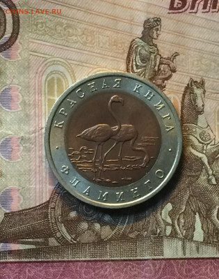 50 рублей 1994г. Красная книга.Фламинго. до 29.08.21 - IMG_6997.JPG