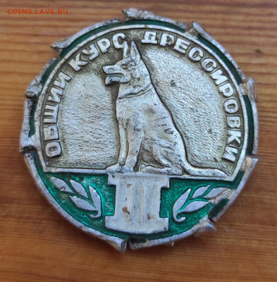 Знак служебное собаководство России, общий курс дресеровки 2 - IMG_20210826_162340