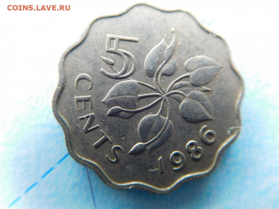 Эсватини (Свазиленд) 5 центов, 1986 - 43