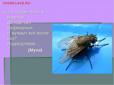 делает - прямо сейчас !!! - img8