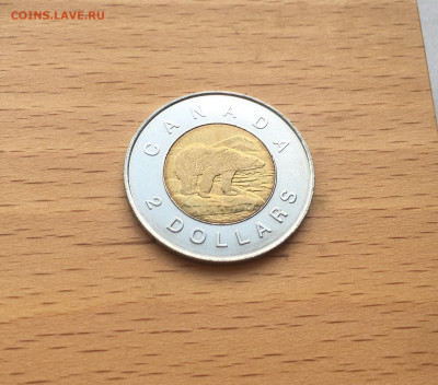 биметалл Канада 2$ доллара 1996 Белый полярный медведь фауна - IMG_9904.JPG
