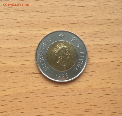 биметалл Канада 2$ доллара 1996 Белый полярный медведь фауна - IMG_9907.JPG