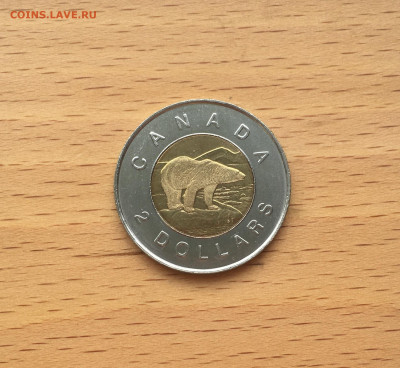 биметалл Канада 2$ доллара 1996 Белый полярный медведь фауна - IMG_9901.JPG