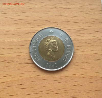 биметалл Канада 2$ доллара 1996 Белый полярный медведь фауна - IMG_9909.JPG