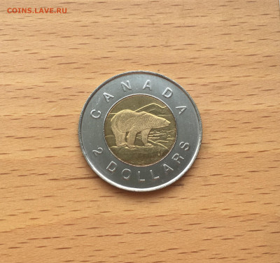 биметалл Канада 2$ доллара 1996 Белый полярный медведь фауна - IMG_9903.JPG