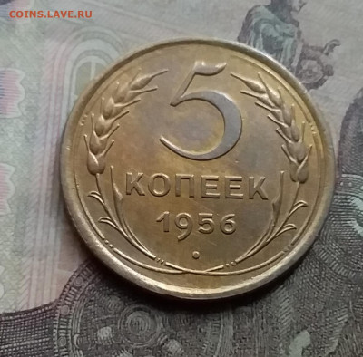 5 копеек 1956. До 7.9.21 в 22.00 - 20210905_155753
