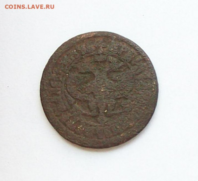Четыре  петровские  монеты  , до 13.09 в 22.00  МСК - 101_1348.JPG