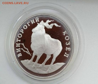 1 рубль 1993 Винторогий козел,серебро - Козел1