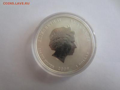 1 доллар 2009 АВСТРАЛИЯ. Год Быка до 13.09 в 22.00 мск - IMG_2300.JPG