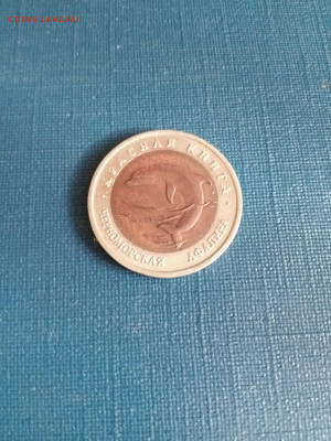 Джейран-1994 г.,Черноморская афалина-1993 г - IMG_20210909_082624_copy_2340x3120