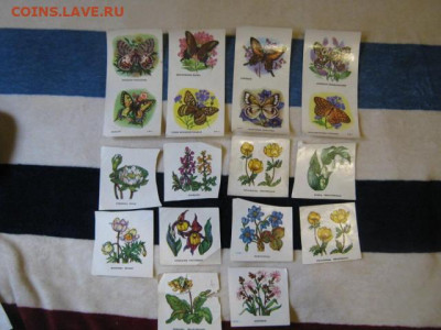 Переводные картинки из СССР и не только, 70+шт. До 12.09.21г - IMG_1568.JPG