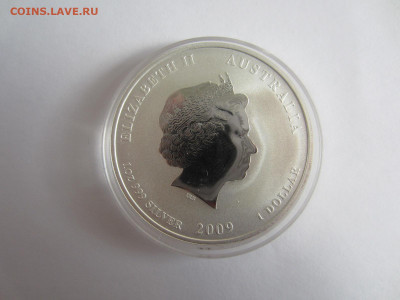 1 доллар 2009 АВСТРАЛИЯ. Год Быка до 13.09 в 22.00 мск - IMG_2319.JPG