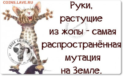 юмор - 1433085135_goimbgpxe90