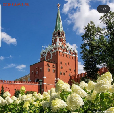 делает - прямо сейчас !!! - Screenshot_20210911-201247_Instagram