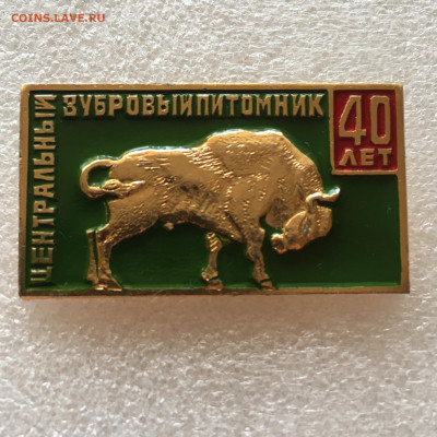 40 лет Центральный зубровый питомник - image-12-09-21-08-56-7