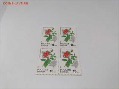 Кварты.Молодая Россия.Фикс 40 руб - zCwcHuBBEp0
