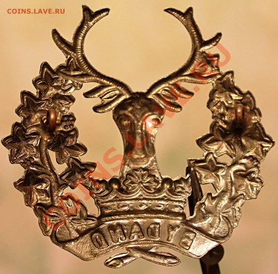 КОКАРДЫ, оценка - IMG_2653.JPG