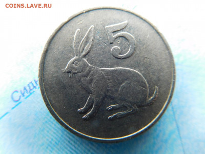 Зимбабве 5 центов, 1991 заяц - 13