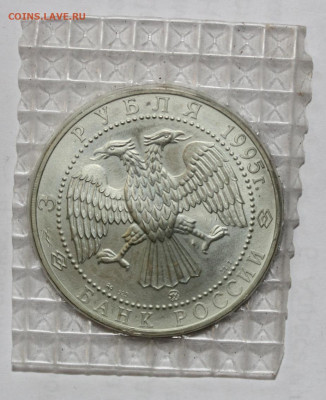 3р 1995г Соболь в запайке - с 200 - до 21.09 22:10 - IMG_6926.JPG