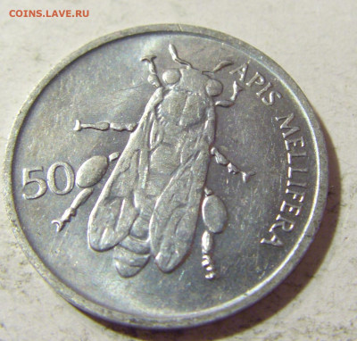 50 стотинов 1996 Словения №3 21.09.2021 22:00 МСК - CIMG0384.JPG