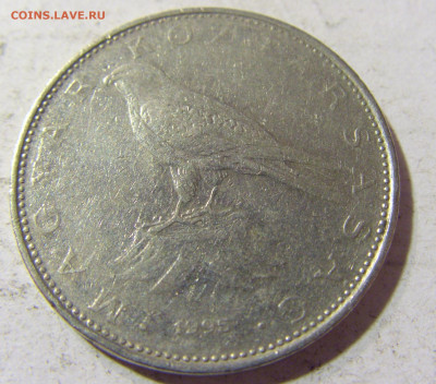 50 форинтов 1995 Венгрия №2 22.09.2021 22:00 МСК - CIMG3085.JPG