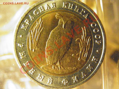 5 рублей Рыбный филин, серии "Красная книга". Короткий. - PA260004.JPG