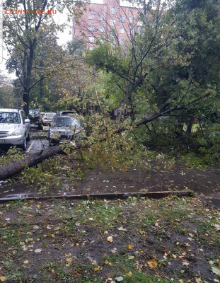 делает - прямо сейчас !!! - Screenshot_20210920-074320_Gallery