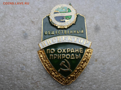Общественный инспектор по охране природы Номерной - SAM_8764.JPG