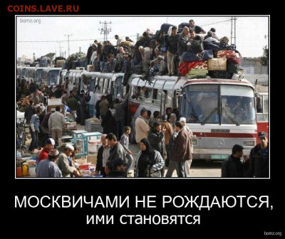 юмор - демотиваторы-про-москвичей-2