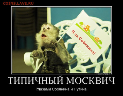 юмор - демотиваторы-про-москвичей-13