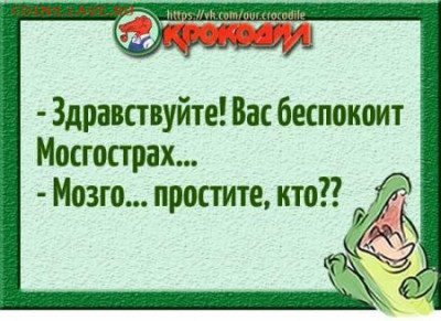 юмор - 0 a 44 fry6