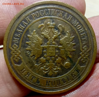 5 копеек 1881,1911,1912 с 200р.до 22.09.21. 22.00мск - IMG_20210920_222424