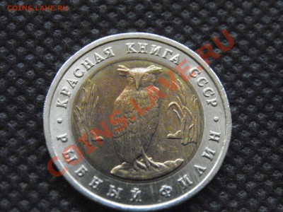 5 рублей Рыбный филин, серии "Красная книга". Короткий. - PA270013.JPG