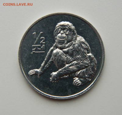 2 чона 2002 г.(Юбилейная) Фауна до 23.09.21 - DSCN0728.JPG