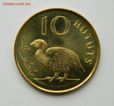 Гамбия 10 бутут 1998 г. (Фауна) до 28.09.21 - DSCN0748.JPG
